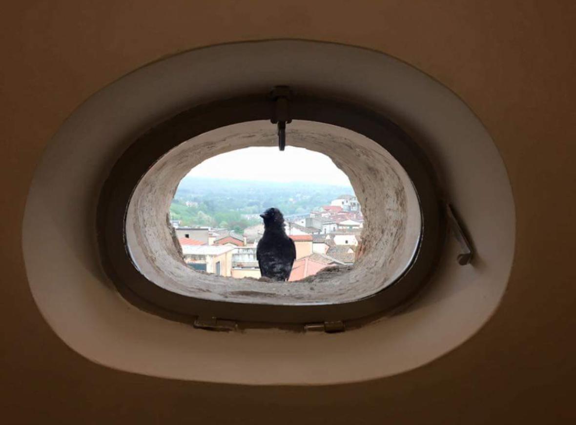La Casa Nel Borgo Antico Hotel Melfi Eksteriør billede